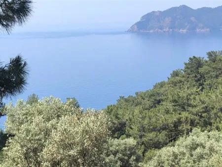 7034M2 Field For Sale With Sea View In Çandir