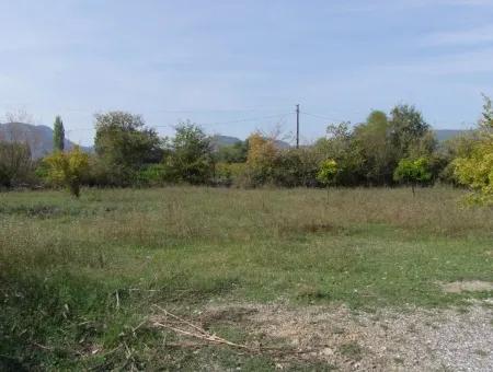 Land For Sale In Guzelyurt Land For Sale Zero 5515M2 Land For Sale On The Main Road