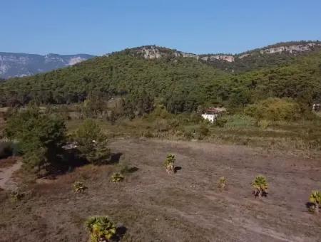 Land Land For Sale In Çamlıda Marmaris Çamlıda Sea View 11720M2 Land For Sale