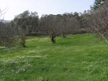 In Incirkoy Uzumlu Fethiye Plot For Sale Farm For Sale In Incirkoy