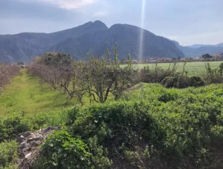 5500M2 Land For Sale In Dalyan