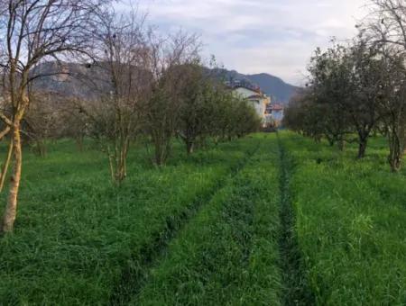 In Okçular Land For Sale 4707M2 Land For Sale