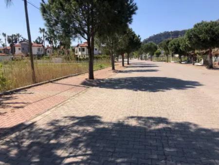 Land For Sale In Dalyan Gülpinar