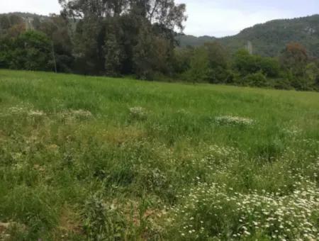 Land For Sale In Çamlida