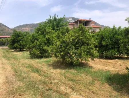 Land For Sale In Sourliyurtda 1085M2