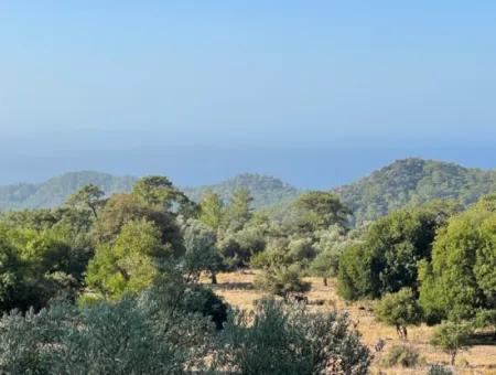 2620M2 Land Field For Sale With Sea View Of Çandir