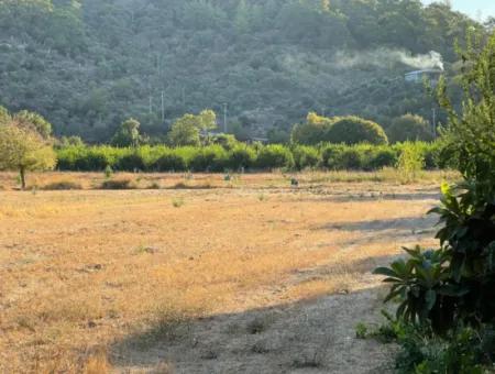 2000M2 Land For Sale In The Built-Up Area Of Çandir Village