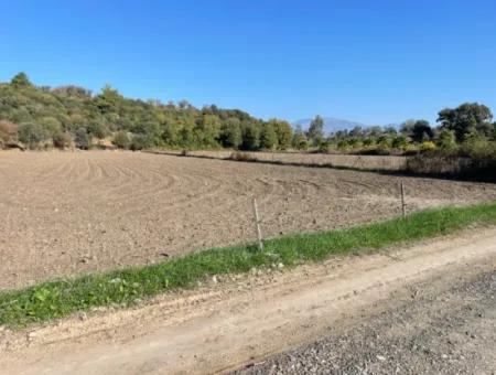 6254M2 Field For Sale Near Dalyan In Eskiköy