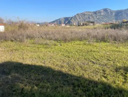 Dalyan 1000M2 Köşebaşı Land For Sale