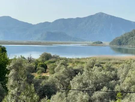 1,136M2 Field Plot For Sale With Çandır Lake View