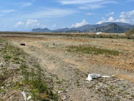 Dalyan Iztuzu Beach Road Zero 19,600M2 Field Land For Sale