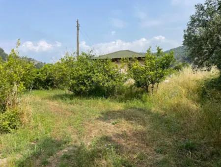 7800M2 Land For Sale At The Beginning Of Iztuzu Beach Road In Gökbel