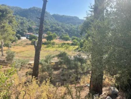 1,320M2 Field For Sale In Çandır Center By The Forest