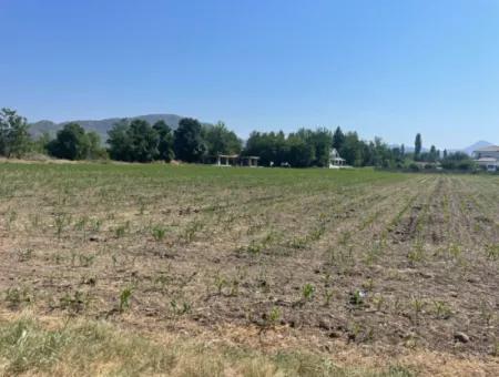 Land For Sale Of 2715M2 In The Built-Up Area Of The Village In Okçular