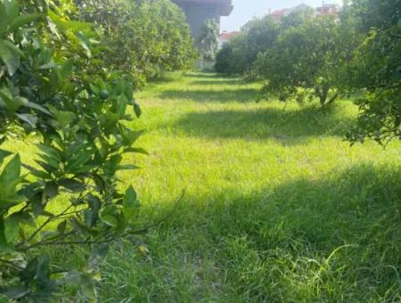 Land For Sale In Gulpinar, Dalyan 722M2