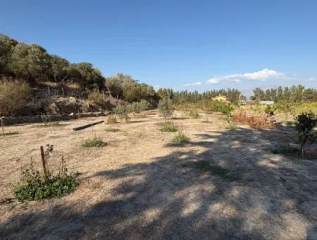 19.663M2 Farm Land And House For Sale In Eskiköy