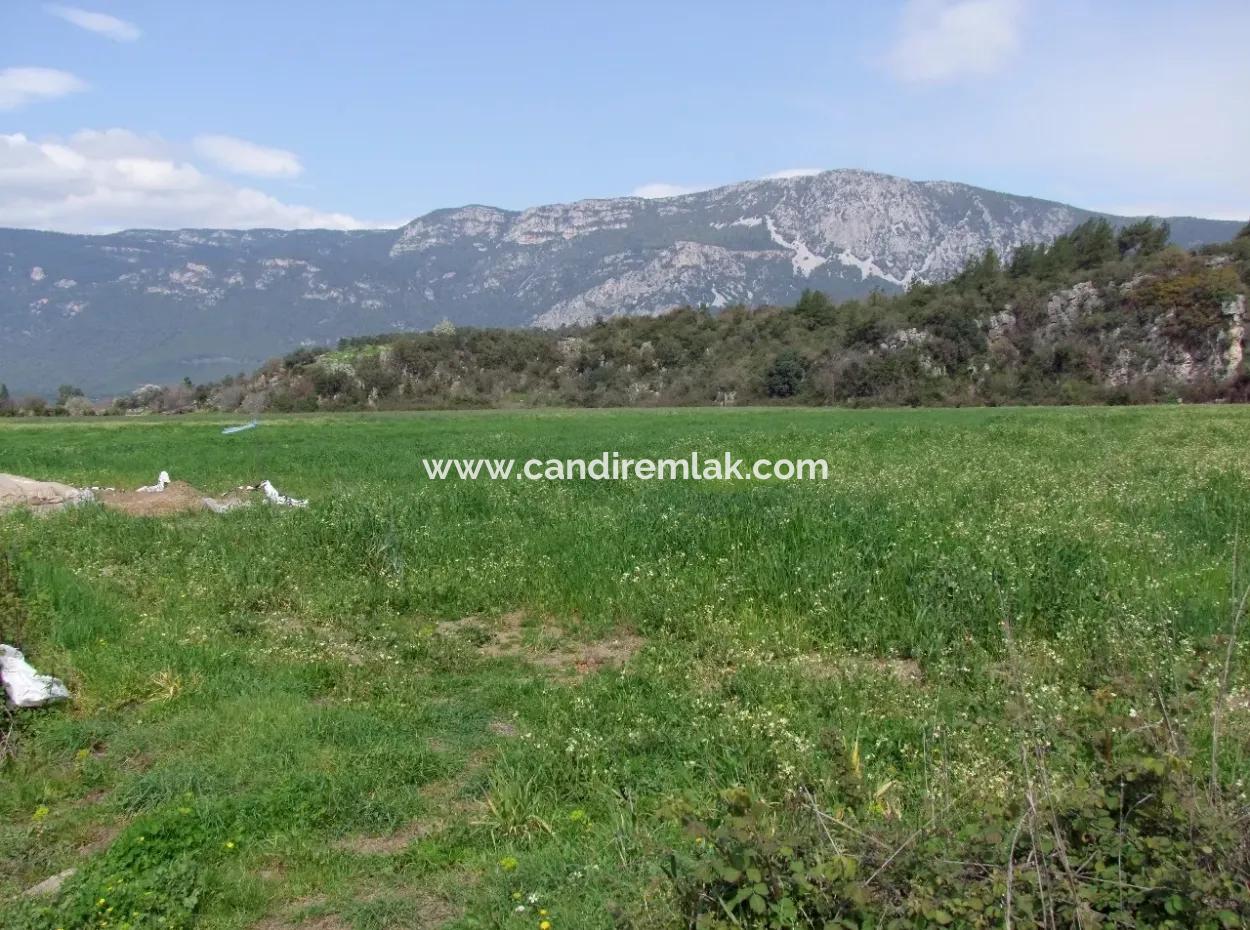 Akyaka Gökçede Satılık Arazi Denize Yakın Çiftlik İçin 21625M2 Satılık Tarla Yatırımlık Satılık Ars