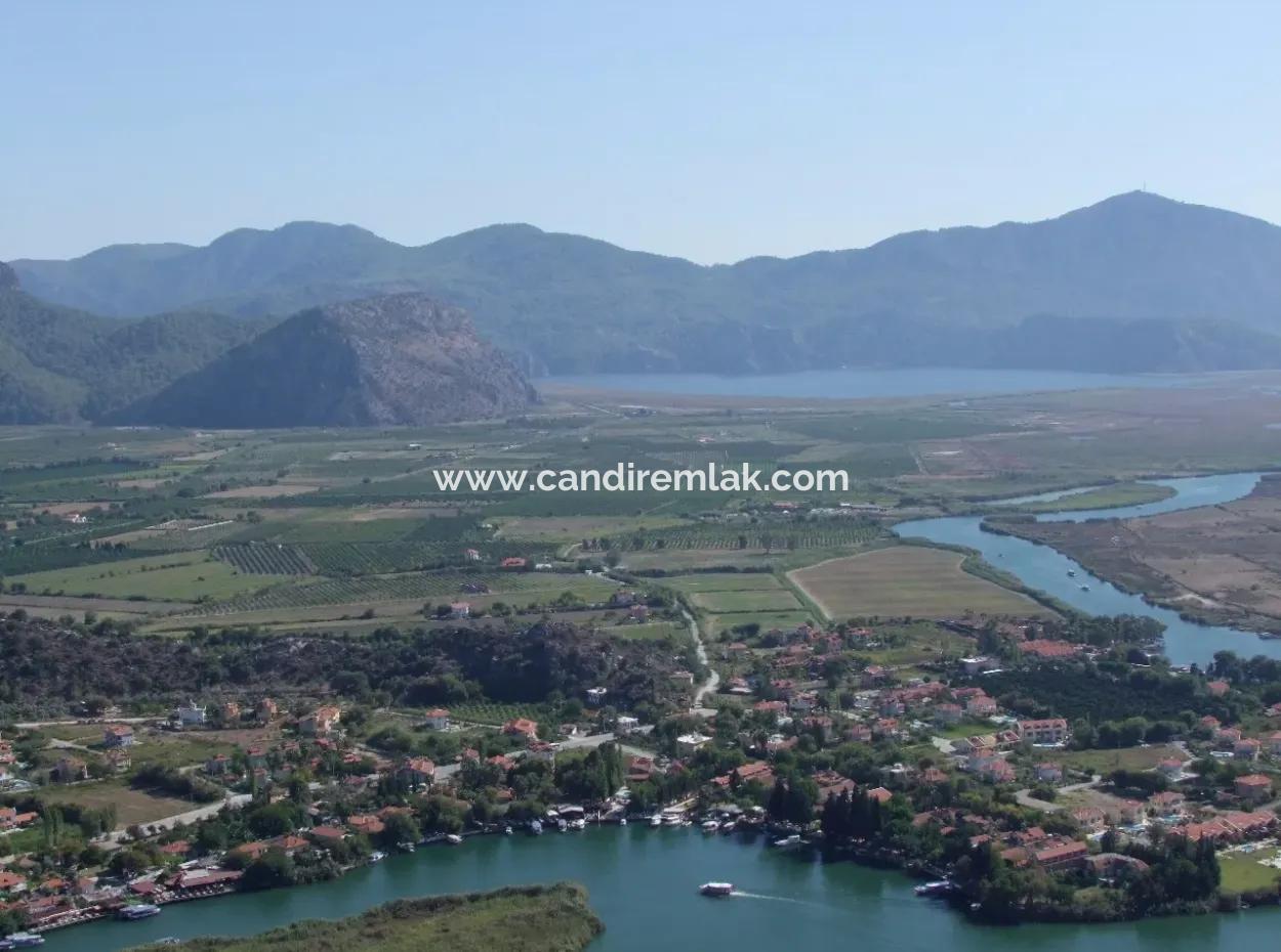 Dalyan Satılık Arsa Dalyan Maraşda 7300M2 %5 İmarlı Satılık Arsa