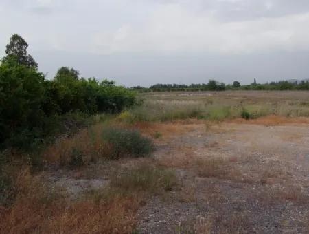 Dalyan Satılık Ticari Arsa Dalyan Anayol Üzerinde 17,805M2 Satılık Kelepir Arsa