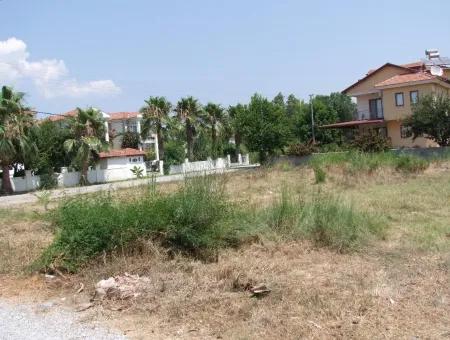 Dalyan Satılık Arsa Gülpınar 505M2 Satılık %20 İmarlı Arsa