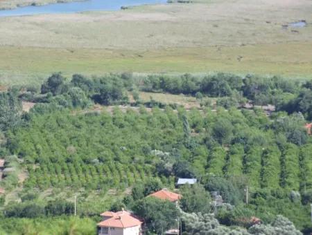 Çandır Satılık Arsa Deniz Manzaralı 6265 M2 Satılık Arsa