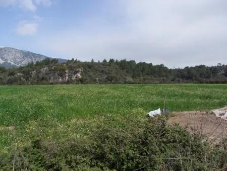 Akyaka Gökçede Satılık Arazi Denize Yakın Çiftlik İçin 21625M2 Satılık Tarla Yatırımlık Satılık Ars