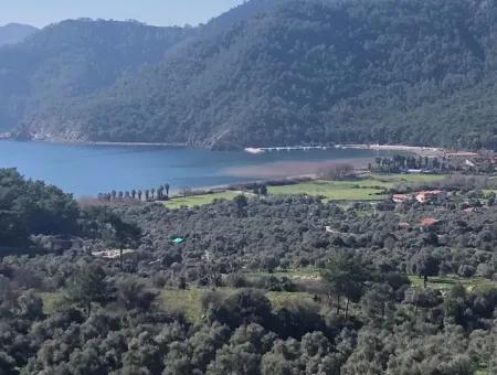 Ekincik Satılık Arsa Full Deniz Manzaralı 10885M2 Denize Bir Parsel Satılık Arsa