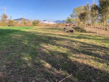 Dalyan'da 2540M2 Satılık Arsa