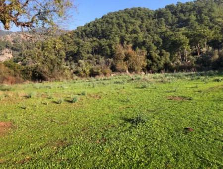 Ekincik Satılık Arsa 10,038M2 Satılık Arsa Tarla