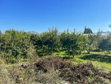 Dalyan'da Satılık 2223M2 Tarla