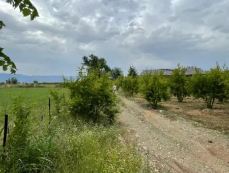 Dalyan''da Merkeze Yakın 2,528M2 Satılık Tarla